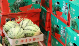 沾化吃瓜最新事件爆料,揭秘背后惊人真相